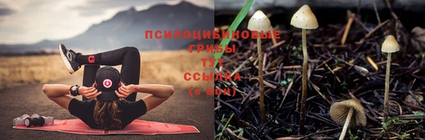 кокаин VHQ Ветлуга