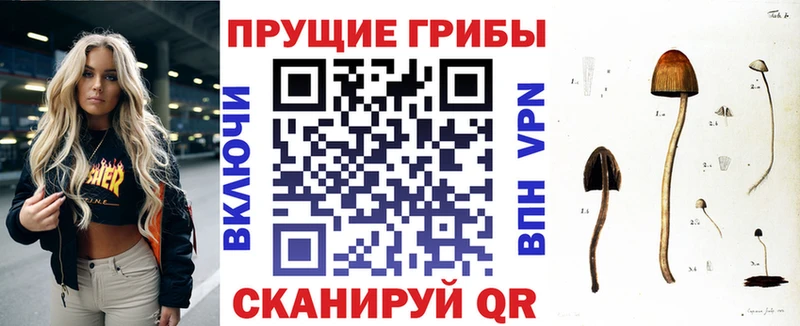Галлюциногенные грибы GOLDEN TEACHER  Купить  Льгов 